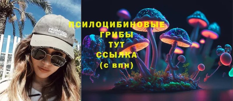 Галлюциногенные грибы Psilocybe  цена   Глазов 